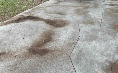Photo of Mark F.'s yard after getting landscaping in Gretna, FL