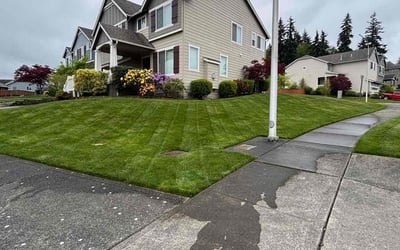 Photo of Jack P.'s yard after getting landscaping in Federal Way, WA