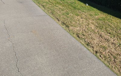 Photo of James B.'s yard after getting landscaping in Camino, CA