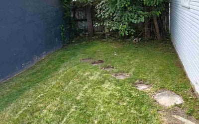 Photo of Alma M.'s yard after getting landscaping in Summit Station, OH