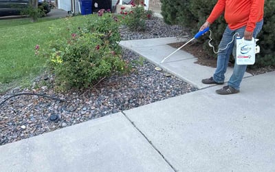 Photo of Kathy H.'s yard after getting landscaping in Aurora, CO