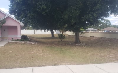 Photo of Julie S.'s yard after getting landscaping in Indian Lake Estates, FL