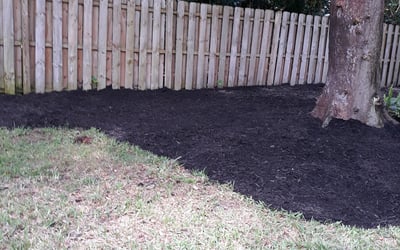 Photo of Aj E.'s yard after getting tree care in San Antonio, FL
