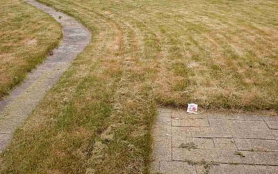 Photo of Pamela B.'s yard after getting landscaping in Nashotah, WI