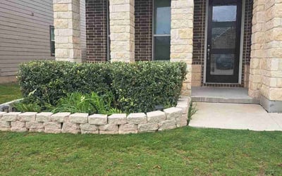 Photo of Diana H.'s yard after getting tree care in Floresville, TX