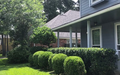Photo of Stephen B.'s yard after getting landscaping in Hardin, TX