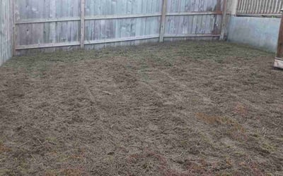 Photo of John G.'s yard after getting landscaping in Stockdale, TX