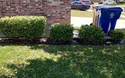 Photo of Jason L.'s yard after getting landscaping in Robstown, TX
