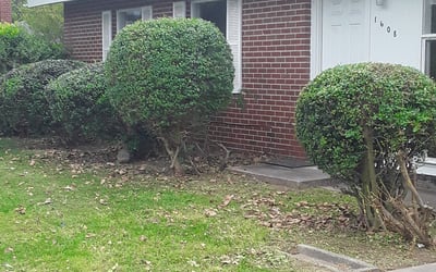 Photo of Diane W.'s yard after getting landscaping in Norge, VA