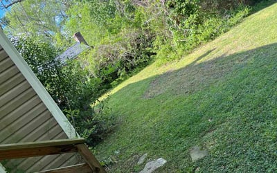 Photo of Daniel A.'s yard after getting landscaping in Jamestown, VA
