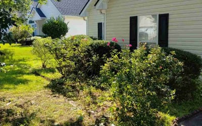 Photo of Laura S.'s yard after getting landscaping in Loganville, GA