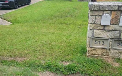 Photo of Linda M.'s yard after getting landscaping in Tyler, TX