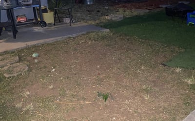 Photo of Joshua H.'s yard after getting landscaping in Pauma Valley, CA