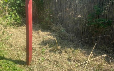 Photo of Chris F.'s yard after getting landscaping in Bates City, MO