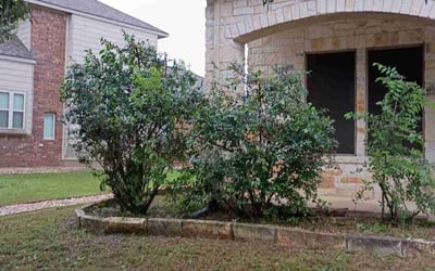 Photo of Jose M.'s yard after getting landscaping in San Marcos, TX