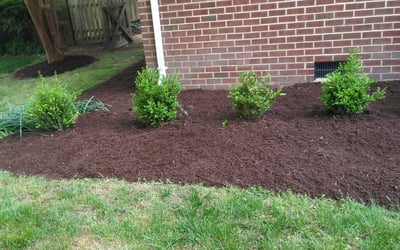 Photo of Mark L.'s yard after getting landscaping in Gatesville, NC