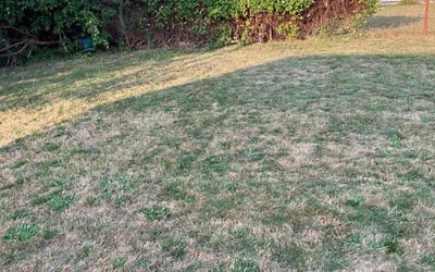 Photo of Daniel C.'s yard after getting landscaping in Vincentown, NJ