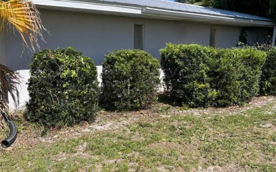 Photo of Devin M.'s yard after getting lawn care in Stuart, FL