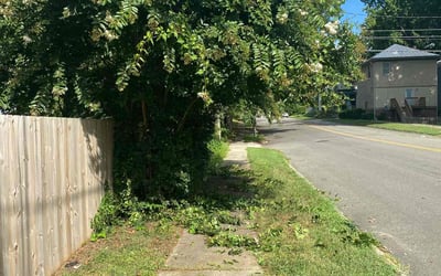 Photo of Alicia B.'s yard after getting landscaping in Charles City, VA