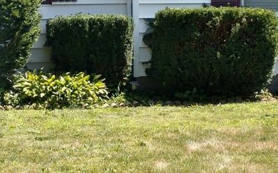 Photo of Matt R.'s yard after getting landscaping in Waverly, MN