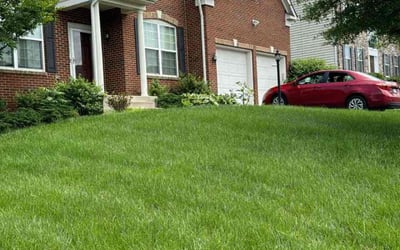 Photo of JS L.'s yard after getting lawn care in Woodbridge, VA