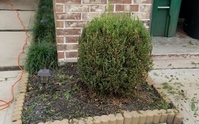 Photo of Rhonda S.'s yard after getting landscaping in Raywood, TX