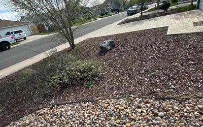 Photo of Richard J.'s yard after getting landscaping in Como, CO