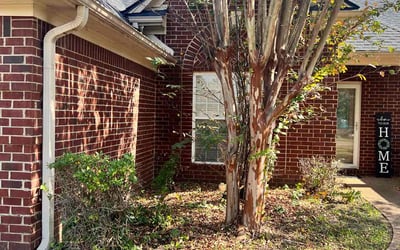 Photo of Kendra W.'s yard after getting landscaping in Somerville, TN