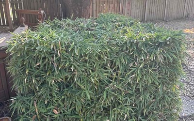 Photo of Stephen R.'s yard after getting landscaping in Mont Belvieu, TX
