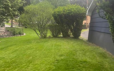 Photo of Susan S.'s yard after getting landscaping in Paramus, NJ