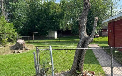 Photo of Susanne S.'s yard after getting tree care in Pearland, TX