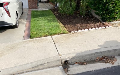 Photo of Michael R.'s yard after getting landscaping in San Clemente, CA