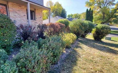 Photo of Erin S.'s yard after getting landscaping in Braham, MN