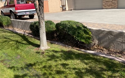 Photo of Linda S.'s yard after getting landscaping in Paradise Valley, AZ