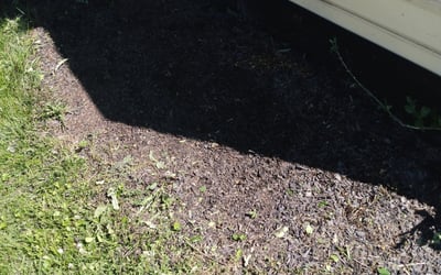 Photo of Barbara H.'s yard after getting tree care in Covington, KY