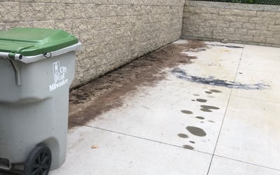 Photo of Tod P.'s yard after getting tree care in Milwaukee, WI