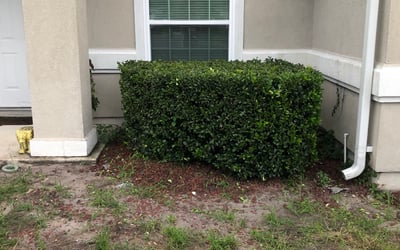 Photo of Melissa T.'s yard after getting landscaping in Ponte Vedra, FL