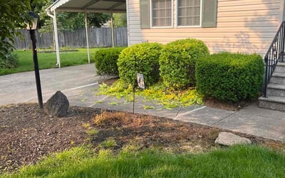 Photo of Shawn L.'s yard after getting landscaping in Burton, OH