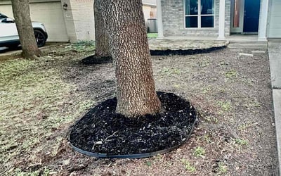 Photo of Allen L.'s yard after getting landscaping in Prairie Lea, TX