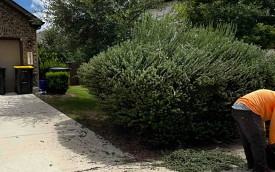 Photo of Bobbie M.'s yard after getting tree care in Spring Branch, TX