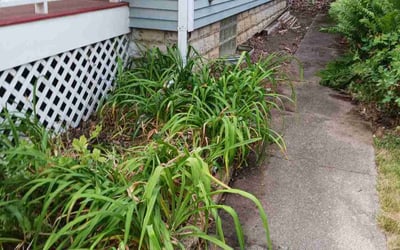 Photo of Javaris O.'s yard after getting tree care in West Chicago, IL