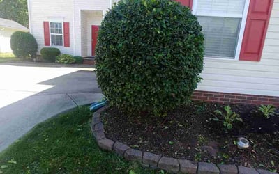 Photo of Tran T.'s yard after getting landscaping in Van Wyck, SC