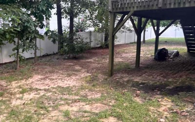Photo of William R.'s yard after getting landscaping in Clayton, NC