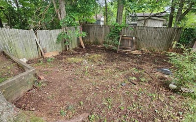 Photo of Sam W.'s yard after getting landscaping in Van Wyck, SC
