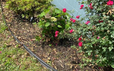Photo of Margaret P.'s yard after getting landscaping in Atlanta, GA