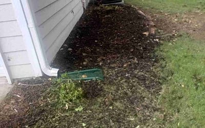 Photo of Steven W.'s yard after getting tree care in Woodstock, GA