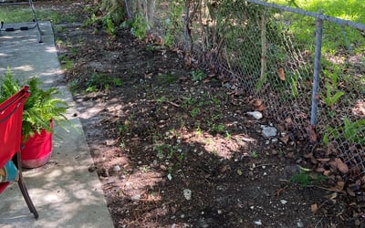 Photo of Michael D.'s yard after getting landscaping in Key Biscayne, FL