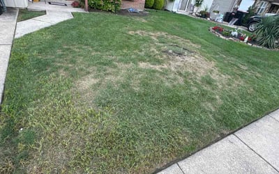 Photo of Jim B.'s yard after getting landscaping in Vincentown, NJ