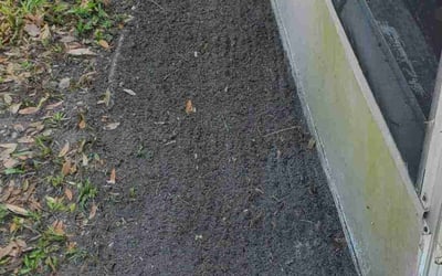 Photo of Mary L.'s yard after getting landscaping in New Port Richey, FL