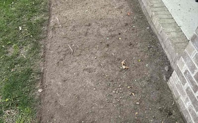 Photo of Kimberly C.'s yard after getting landscaping in Gloucester, VA